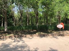 -塘沽森林公园