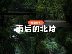 -北陵公园
