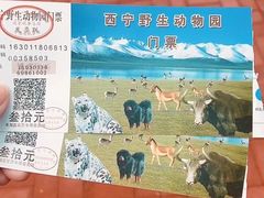 -青藏高原野生动物园