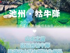 -石台牯牛降景区