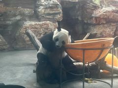 -石家庄市动物园