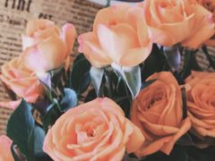 -香港皇家太平洋酒店