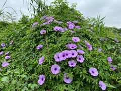 -东山湖温泉度假村