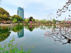-无锡蠡湖国家湿地公园-蠡园