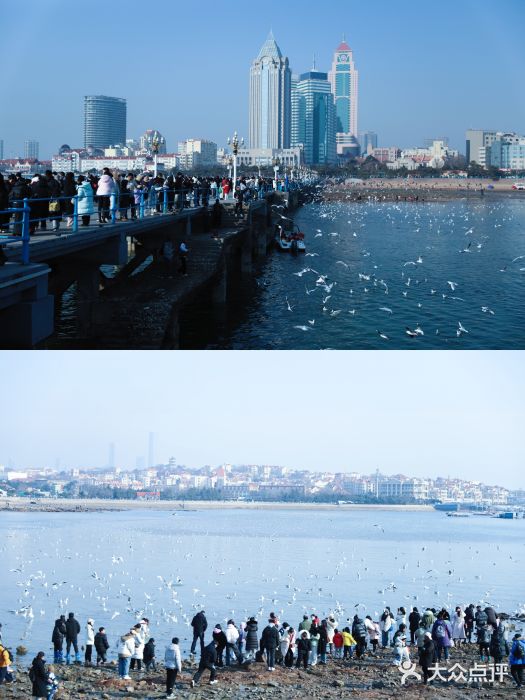 栈桥景区图片