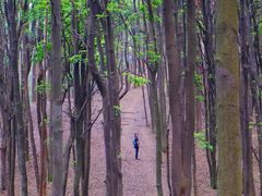 -火炉山森林公园