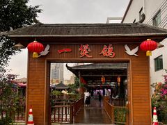 -一煲鸽