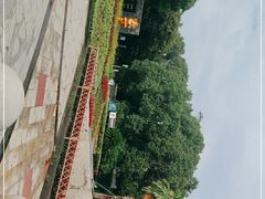 -桐乡植物园