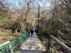 -大蜀山国家森林公园