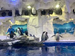 -华夏文旅海洋公园