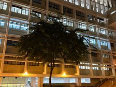 -香港大学