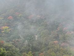 -太平万花山景区