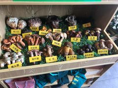 -菌海森林·非遗野生菌火锅(西山区滇池路摩根道店)