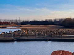 -溱湖国家湿地公园