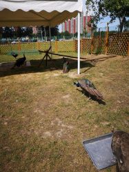 -萌宠亲子动物乐园(槐房万达店)