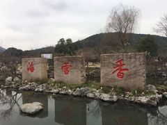 -香雪海
