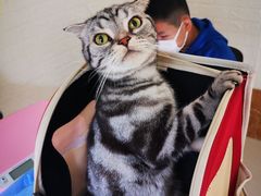 -美联众合动物医院·24h京西诊疗中心
