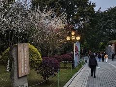 -龙头寺公园