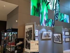 -上海国展宝龙丽筠酒店