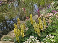 -共青国家森林公园-售票处