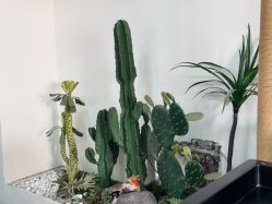 -星座接发烫染美发超市