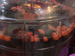 -菜先生私厨(安喜门店)