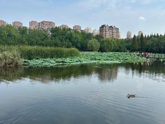 -前关湿地公园