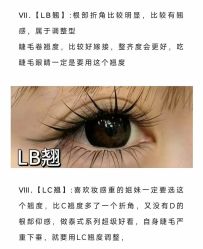 -丽尔美睫