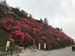 -木兰云雾山