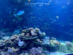 -欢乐海岸海洋奇梦馆