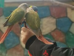 -西霞口神雕山野生动物世界