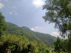 -王顺山国家森林公园