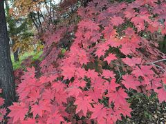 -九鼎铁刹山风景区