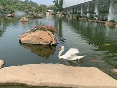 -罗红摄影艺术馆