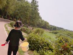 -丁香湖公园