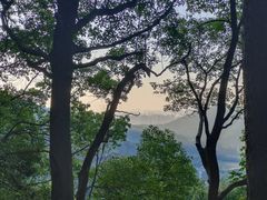 -惠山国家森林公园
