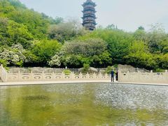 -牛首山文化旅游区