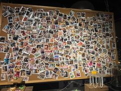 -百好乐宠物友好餐厅(朝外大街店)