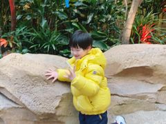 -杭州开元森泊度假乐园