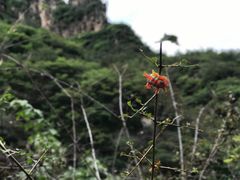 -孤山寨风景区