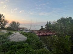 -养马岛旅游度假区