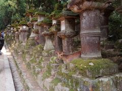 -奈良公园