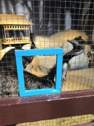 -酷嗒动物文化乐园(cutezoo西溪乐天城店)