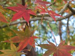 -共青国家森林公园-售票处