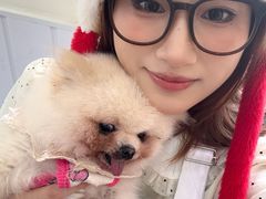 -汪说·狗咖·拼豆·宠物周边DIY(旺城大厦店)