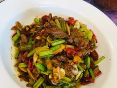 -新疆巴州金丝特餐厅(大钟寺店)