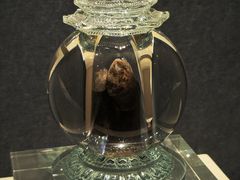 -张掖大佛寺景区