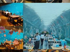 -海棠湾洲际-涛·海底餐厅·美人鱼·自助餐·海底隧道