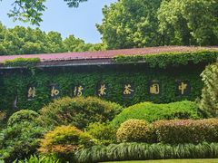 -中国茶叶博物馆(双峰馆区)