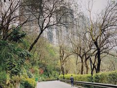 -重庆彩云湖湿地公园